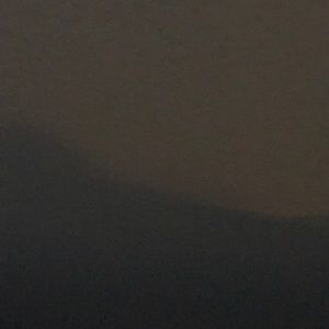 Meet your Posher, Tony